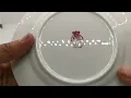 Royal Stafford China Blossom Time Side Plate