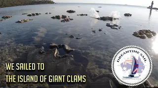 A Coral Garden of Giant Clams – Orpheus Island – Episode 22