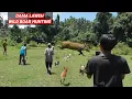 Download Lagu GEWELDIG ‼️DIT IS WAT ER GEBEURT ALS JE JAAGT IN EEN NEST VAN WILD ZWIJN (JACHT OP WILD ZWIJN)