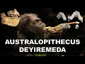 Australopithecus Deyiremeda The Most Recent Australopithecus Species Discovery