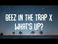 Nicki Minaj, 4 Non Blondes - Beez In The Trap X What’s Up? [Lyrics]