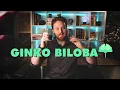I Took Ginkgo Biloba For 30 Days, Here's What Happened