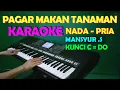 Download Lagu PAGAR MAKAN TANAMAN - KARAOKE NADA PRIA
