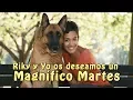 Feliz Martes pleno de bendiciones