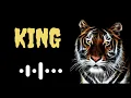 Download Lagu Lion Ringtone || Danger Ringtone || Viral Ringtone || Best Ringtone || English Ringtone
