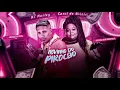 Download Lagu 🔵 BREGÃ FUNK 2021 MC MARLEY E MC CAROL - NOVINHO DO PIROCÃO | TU TEM 15 ANOS E JÁ TEM (C/ LETRA)