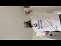 Painting Sea Salt Duration Matte by sherwin-williams Happy cows make good cheese