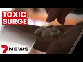 Warning of health problems associated with overdose of vitamin B6 7NEWS