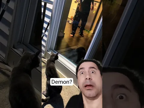 #shortvideo #sobrenatural