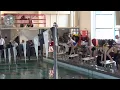 2016/01/23 Briseis 25M Fly 8yr Girls OSC 10 & Under #2 E11H3