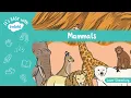 Mammals What Is a Mammal Mammals for Kids It s Easy With Twinkl Twinkl USA