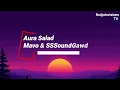 Mavo ft SSSoundGawd - Aura Salad Lyrics