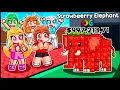 Download Lagu Techy Plays New OG RARITY Update In Steal A Brainrot....
