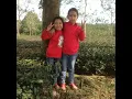 Download Lagu tinh tan vap nga