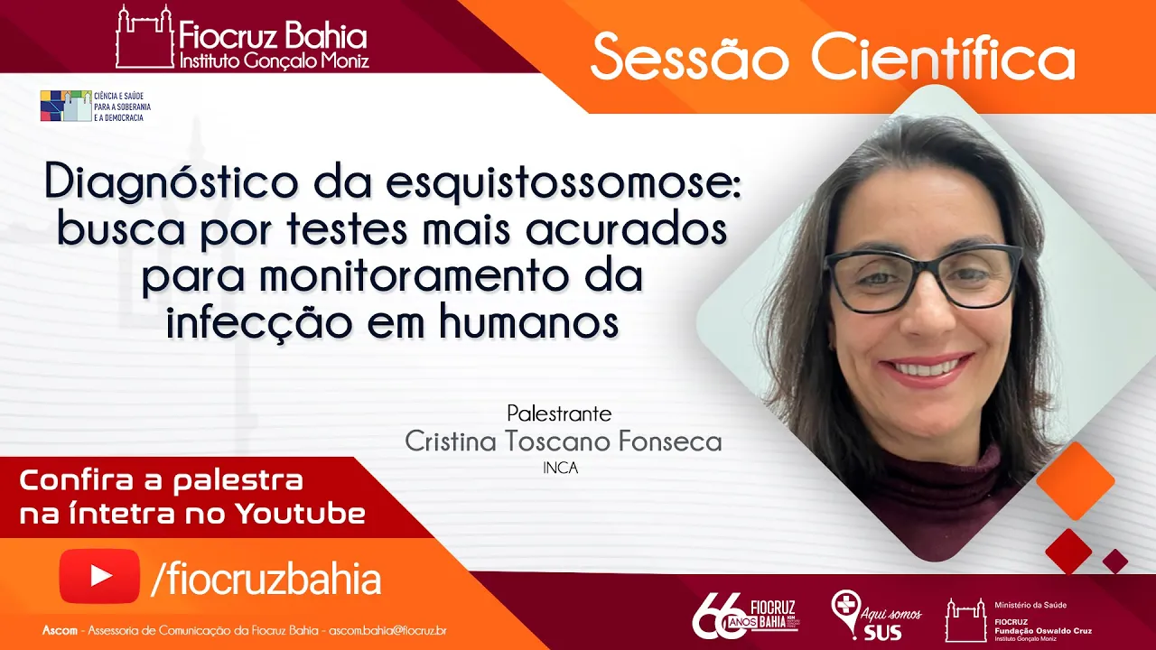 Diagnóstico da esquistossomose: busca por testes acurados para monitoramento da infecção em humanos