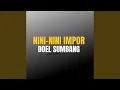 Nini-nini Impor