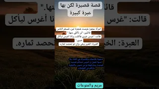 قصة قصيرة لكن بها عبرة كبيرة اكسبلور علم النفس منوعات معلومات لايك علم قصص تيك توك ترند 