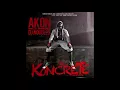 Download Lagu Akon - Still A Survivor