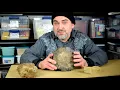 Big Profit Item Selling Rocks on eBay Petrified Wood Haul
