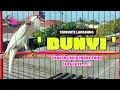 Download Lagu MEWAH !!! Suara PANCINGAN Kenari PAUD Belajar Bunyi Ngeriwik || Masteran KENARI Paud || Part 154