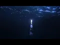 Max Cooper- Hope