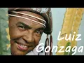 Download Lagu O Chêro da Carolina - Luiz Gonzaga
