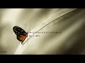 Download Lagu Relaxing Recitation of Surah Taha for Stress Relief and Soul Healing Shikh Ismail Annuri