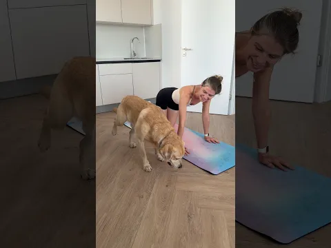 Он пытался😁