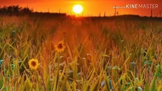 ياحامل القران حالات واتس اب 