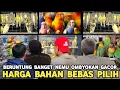 Download Lagu REJEKI !! NEMU LAGI BURUNG OMBYOKAN GACOR GACOR HARGA SAMA BEBAS PILIH DI PASAR BURUNG PRAMUKA