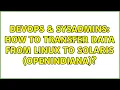 DevOps SysAdmins How to transfer data from Linux to Solaris OpenIndiana 3 Solutions