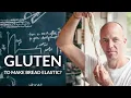 The Wonder of Bread Why Dough Stretches and How Gluten Really Works Cook the Science