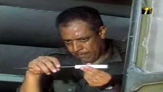 الطريق إلى إيلات   أسود الأرض دندنها