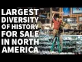 Unbelievable Tour of The Relic Room Inside of The Worlds Largest Knife Store