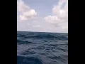 Download Lagu OMBAK LAUT BIRU