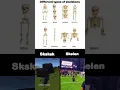 Types of skeletons 💀