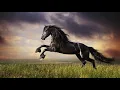 Download Lagu 💖💖 Henry Mancini 💖 Marlboro Country 💖💖