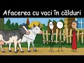Download Lagu AVENTURI CU VACA: Cu Vaca La Produs