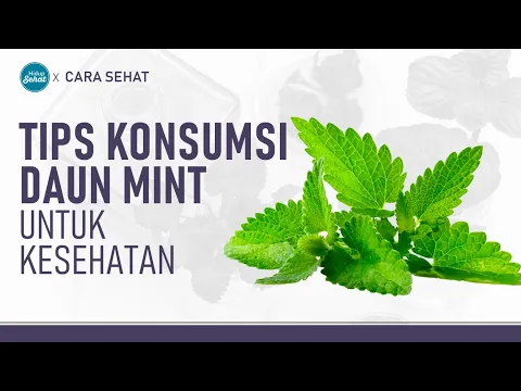 Manfaat dan Tips Konsumsi Daun Mint untuk Kesehatan