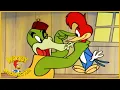 Lagu Woody Dines Out | Woody Woodpecker | Old Cartoon | Woody Woodpecker Full Episodes | Videos for Kids