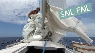 Shredded Sail and A Stalking Shark | 71 | Beau and Brandy Sailing