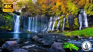 【Chill & Relax】Waterfall 🌊 Relaxing Sound For Deep Sleep & Focus | 8K Nature ASMR