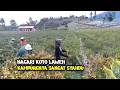 Download Lagu Kampung Ini Sangat Mempesona,Nagari koto Laweh Kecamatan Sepuluh Koto Kabupaten Tanah Datar Sumbar