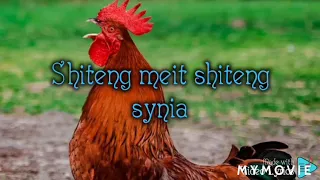 shiteng meit shiteng synia