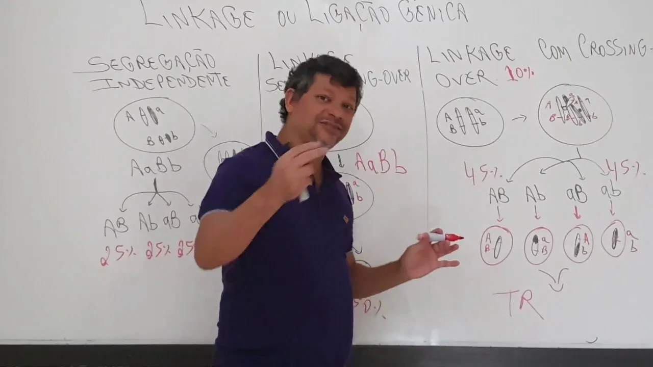 Linkage ou ligação gênica e Mapas cromossômicos