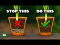 STOP Putting Gravel At The Bottom Of Your Pots