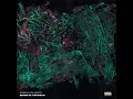 Concept Zero - Coss & Luca Musto