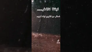 حالات واتساب عن الشتاء 