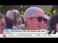 Fans dress up as Pitbull for Grandstand performance at Iowa State Fair