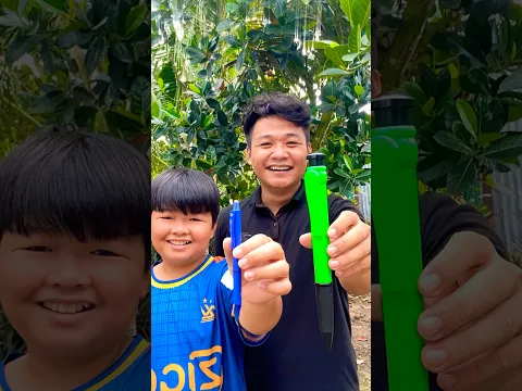Cây viết to nhất thế giới